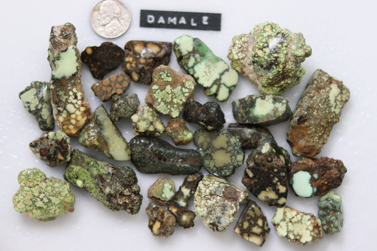 High grade natural Damele turquoise rough