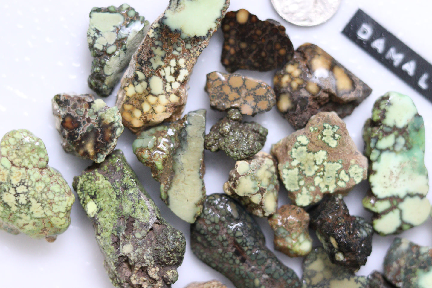 High grade natural Damele turquoise rough