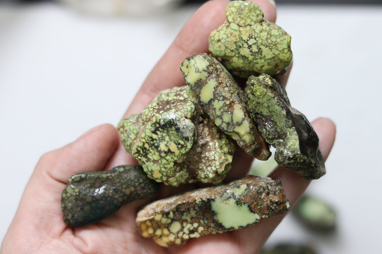 High grade natural Damele turquoise rough