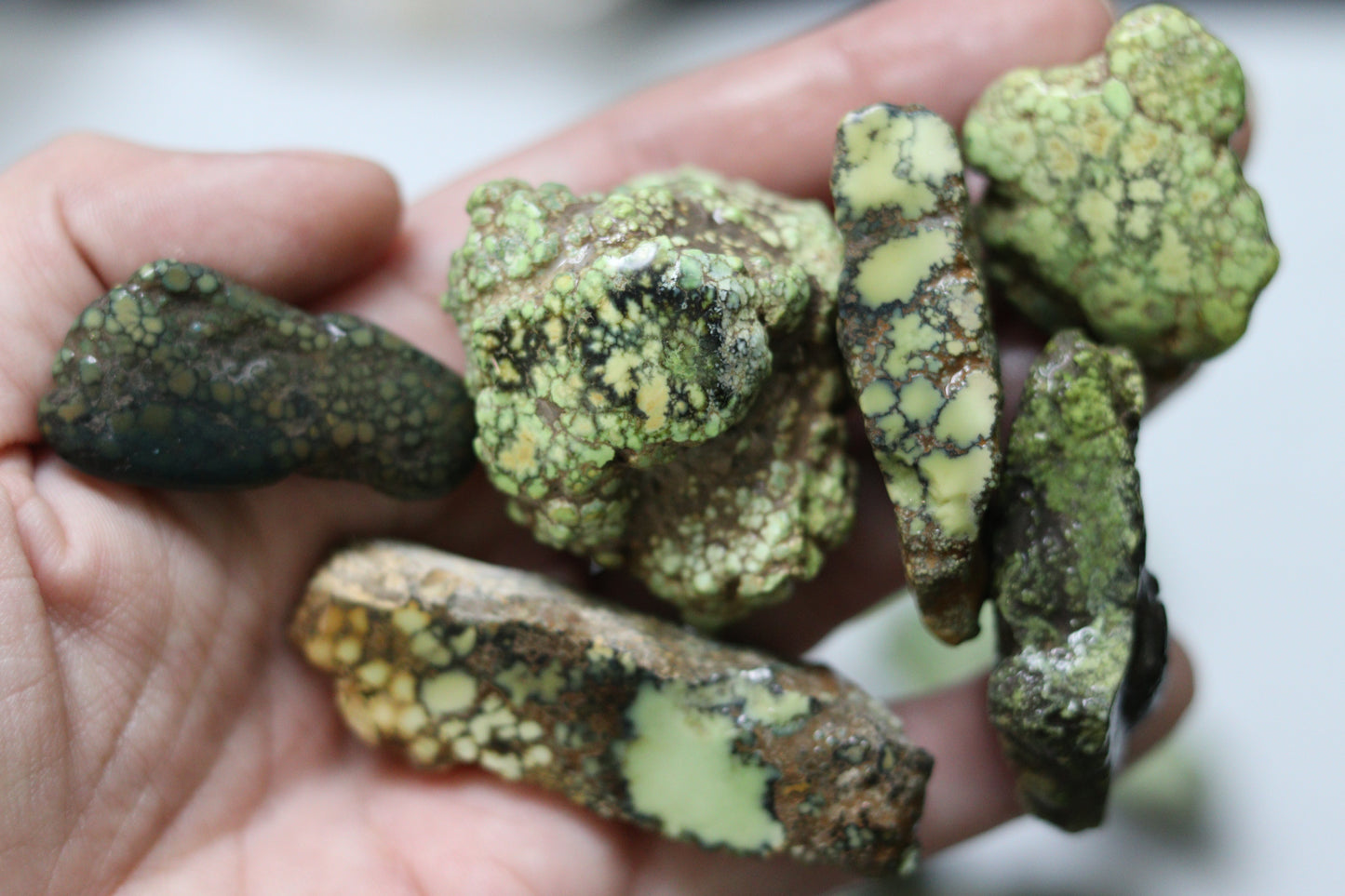 High grade natural Damele turquoise rough