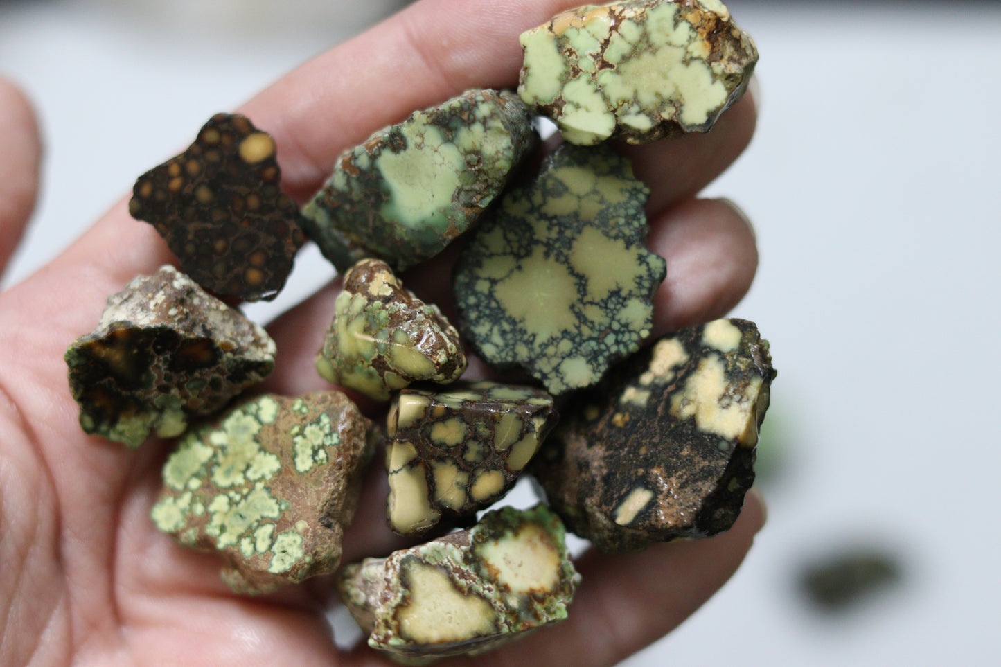 High grade natural Damele turquoise rough