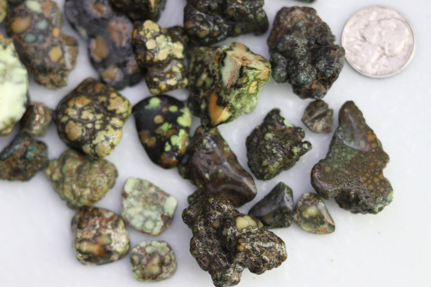High grade multi colored Damele turquoise rough