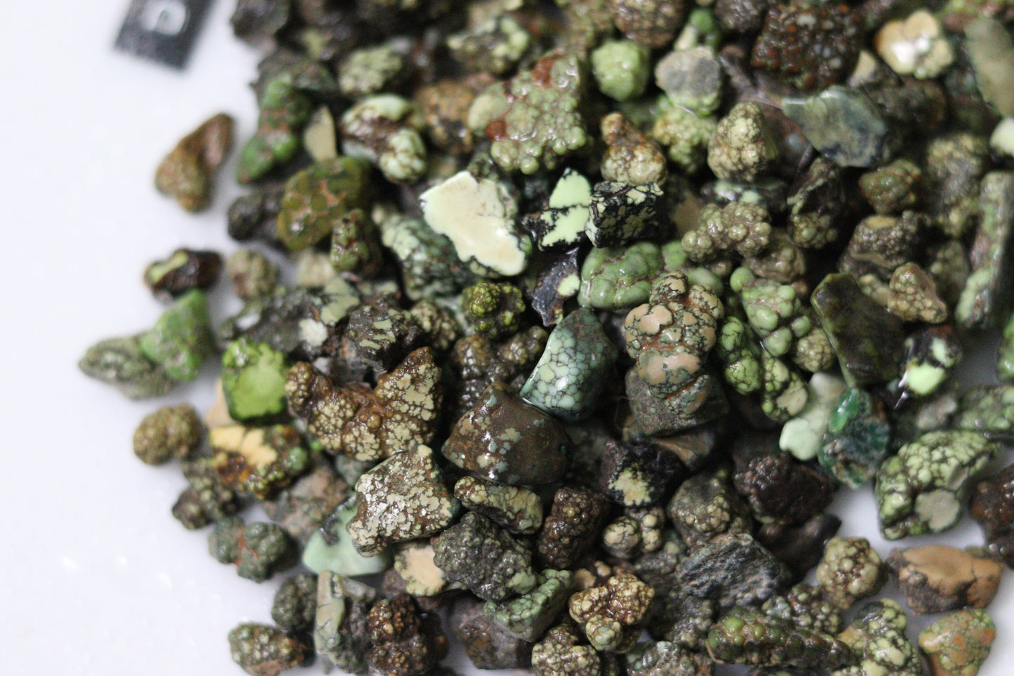 Natural Damele turquoise nugget rough