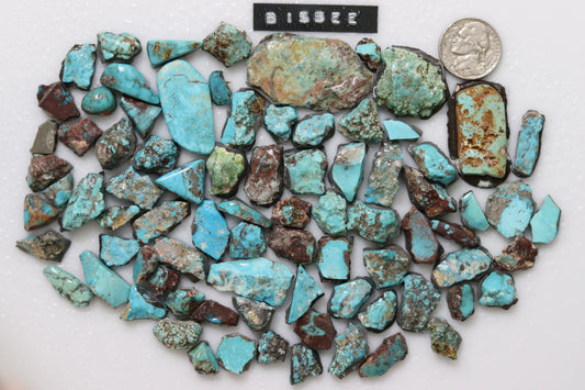 Natural Bisbee turquoise rough backed and ready to cab
