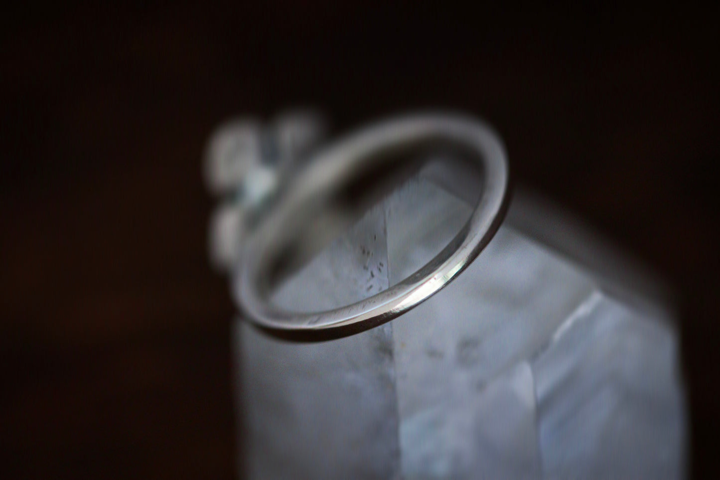 Sterling silver succulent ring US size 6